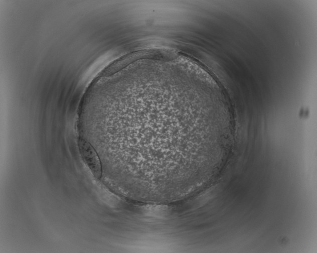 X0000111010893200907101312