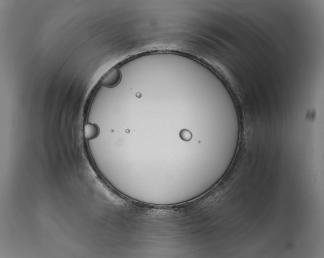 X0000111010894200907101312