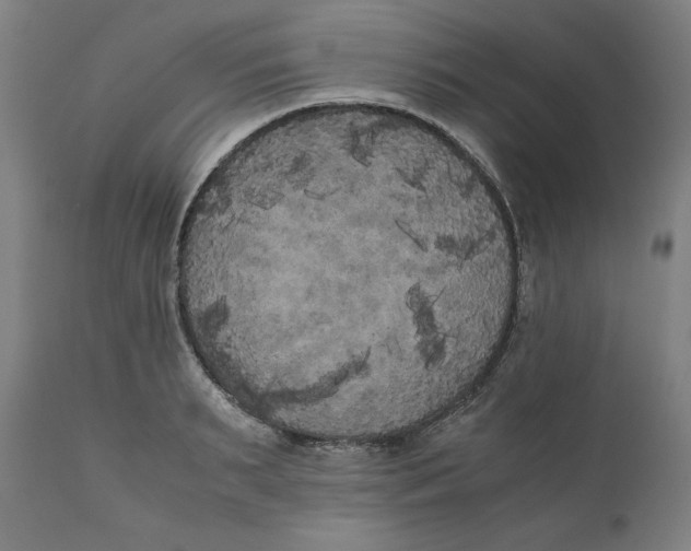 X0000111010895200907101312