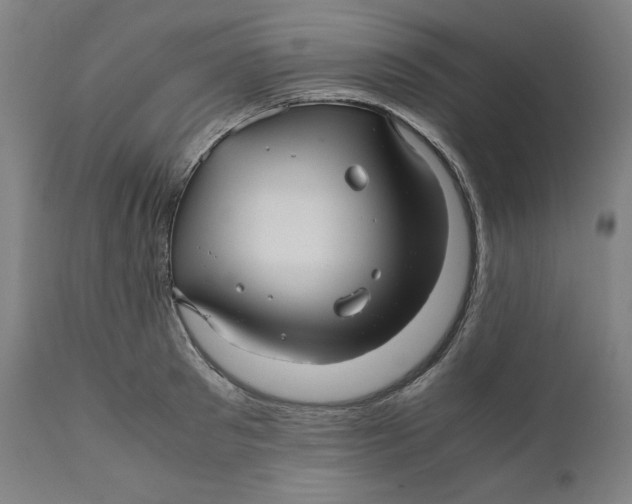 X0000111010897200907101312