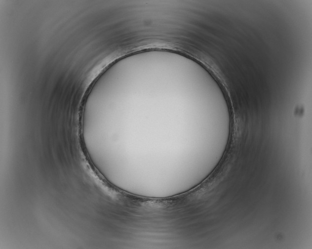 X0000111010898200907101312