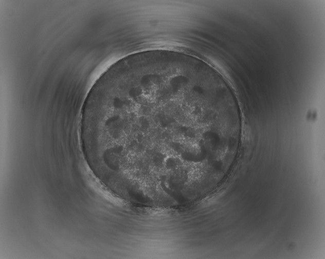 X0000111010899200907101312