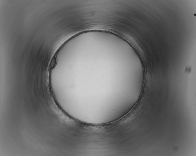 X0000111010900200907101312