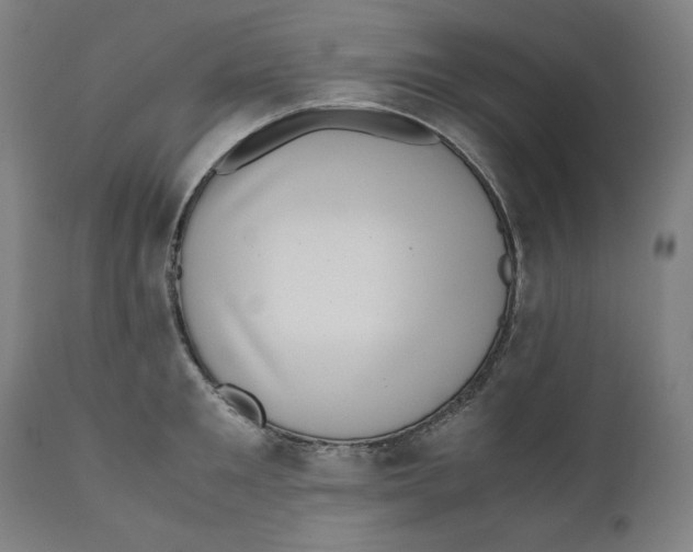 X0000111010901200907101312