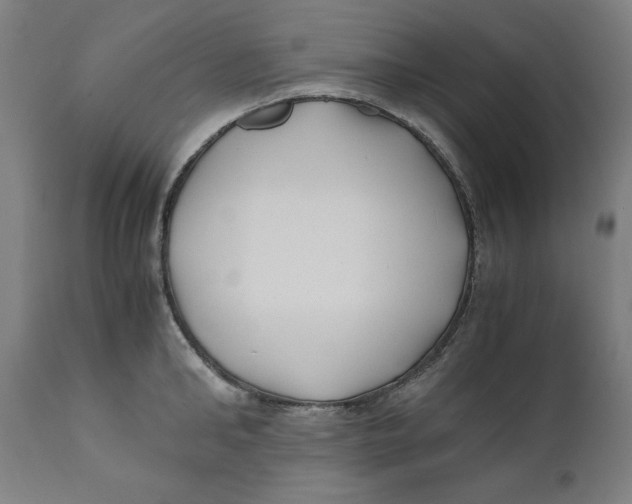 X0000111010902200907101312