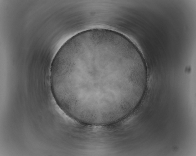 X0000111010903200907101312
