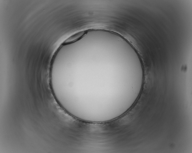 X0000111010904200907101312