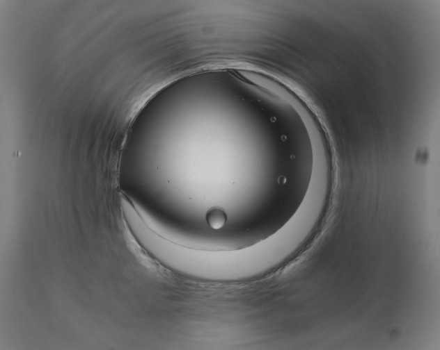 X0000111010905200907101312
