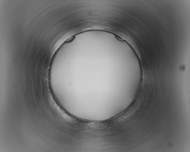 X0000111010906200907101312