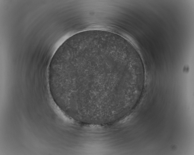 X0000111010907200907101312
