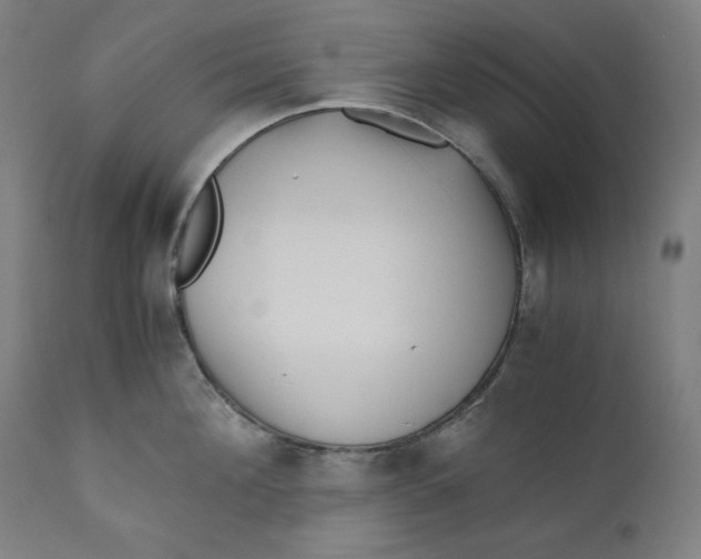 X0000111010908200907101312