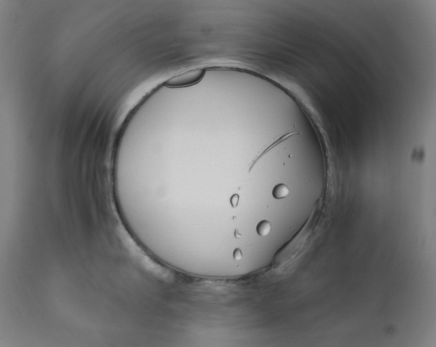 X0000111010910200907101312