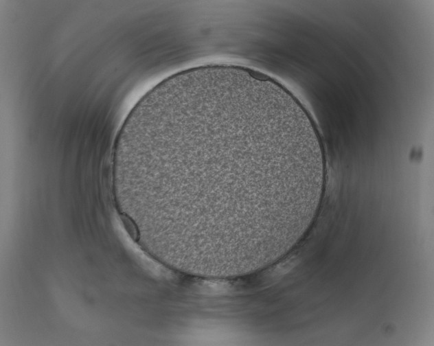 X0000111010911200907101312