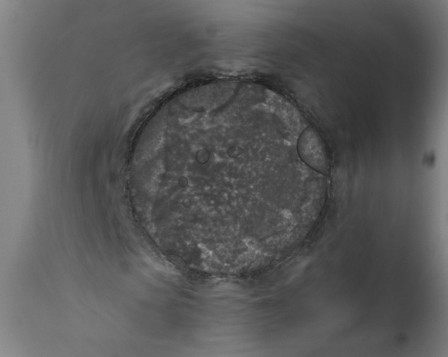 X0000111010913200907101312