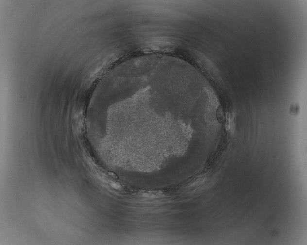 X0000111010915200907101312