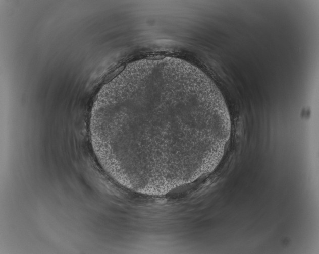 X0000111010916200907101312