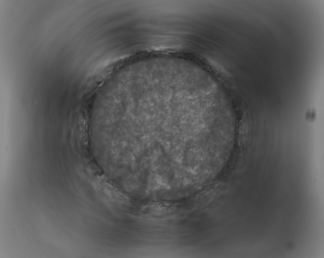 X0000111010917200907101312