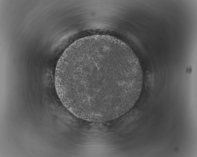 X0000111010918200907101312