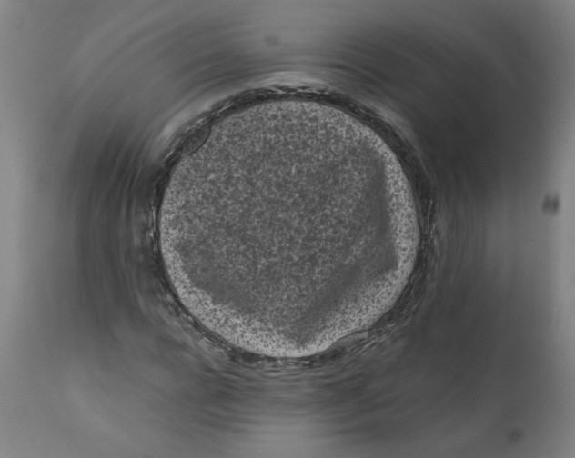 X0000111010920200907101312