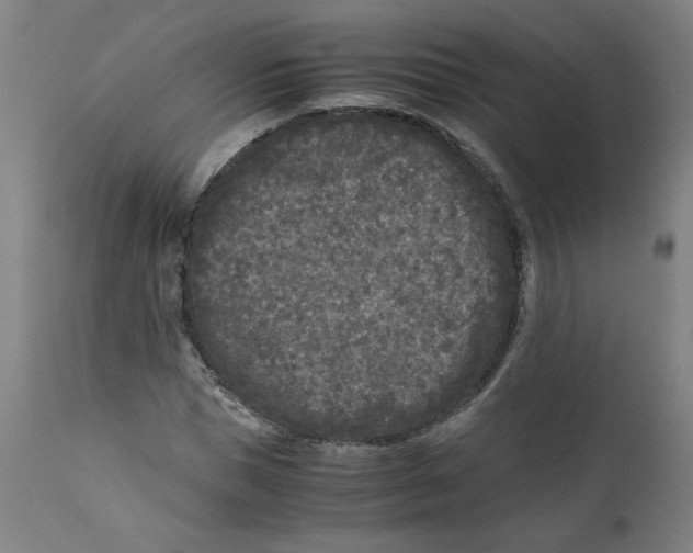 X0000111010921200907101312