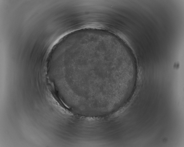 X0000111010923200907101312