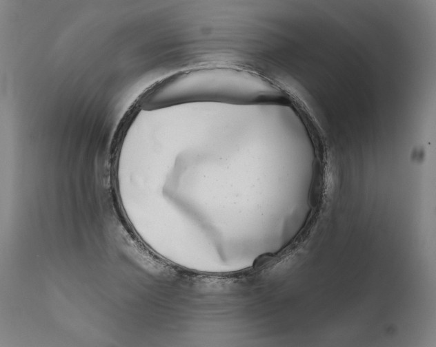 X0000111010924200907101312