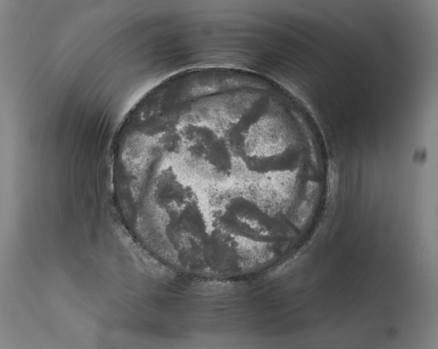 X0000111010925200907101312