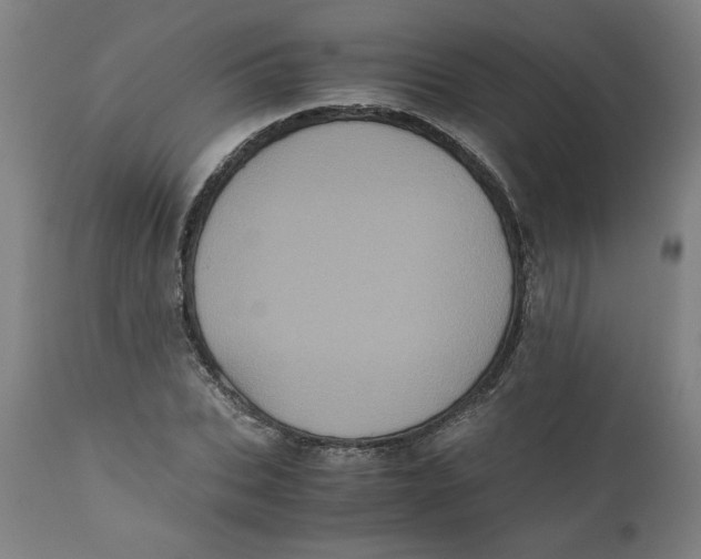 X0000111010927200907101312