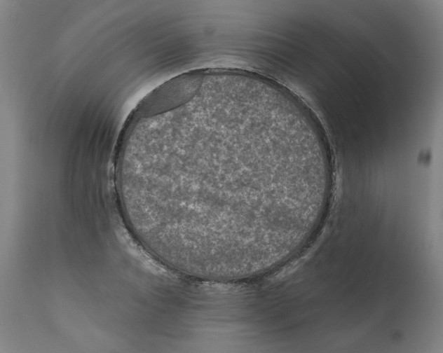 X0000111010928200907101312