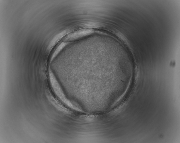 X0000111010930200907101312