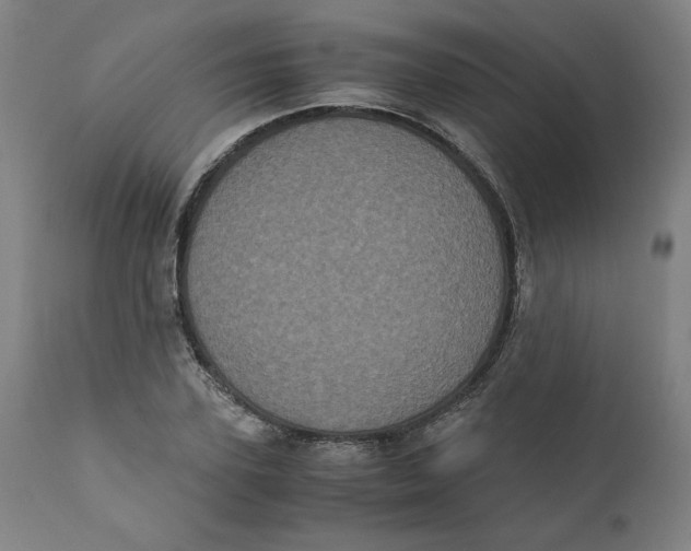 X0000111010931200907101312