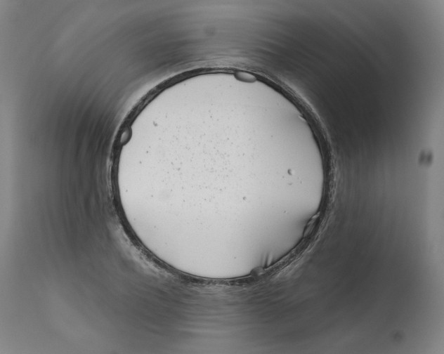 X0000111010932200907101312
