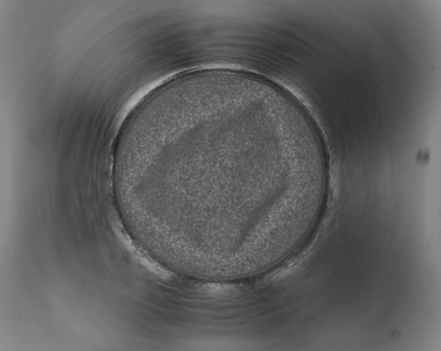 X0000111010933200907101312
