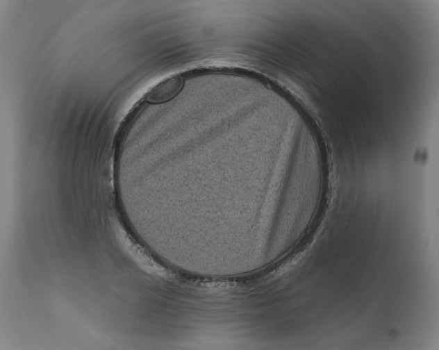 X0000111010934200907101312