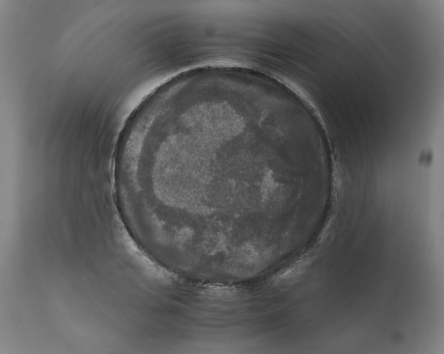 X0000111010935200907101312