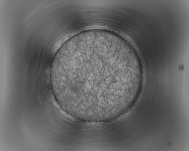 X0000111010937200907101312