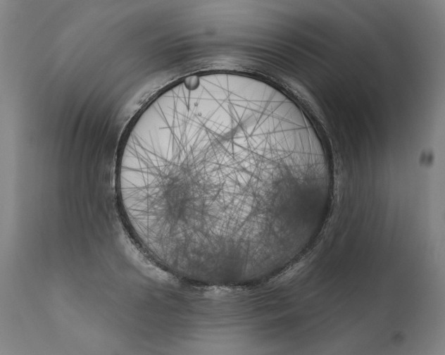X0000111010938200907101312