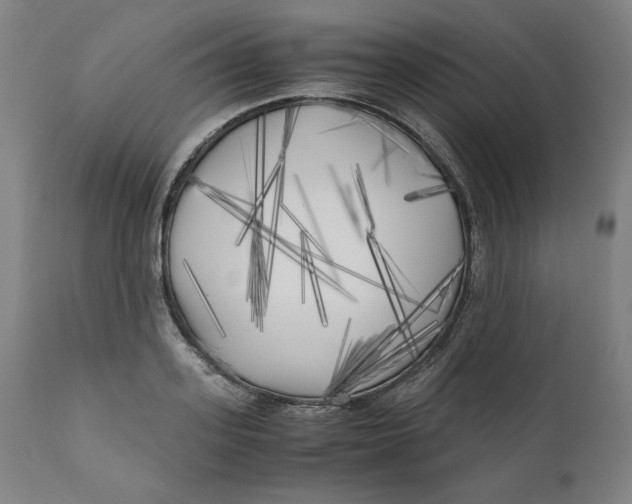 X0000111010939200907101312
