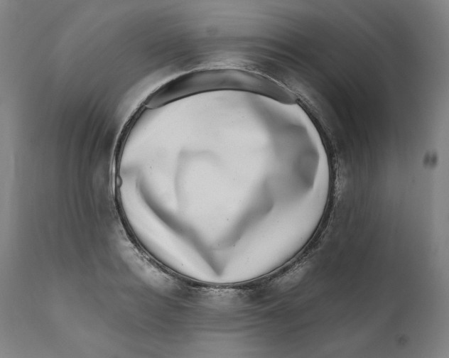 X0000111010940200907101312