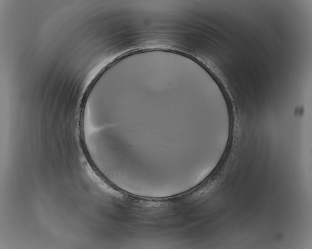 X0000111010941200907101312