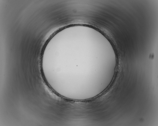 X0000111010942200907101312