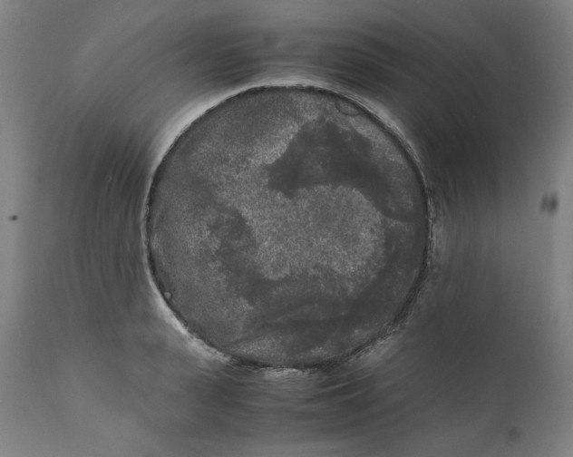 X0000111010943200907101312