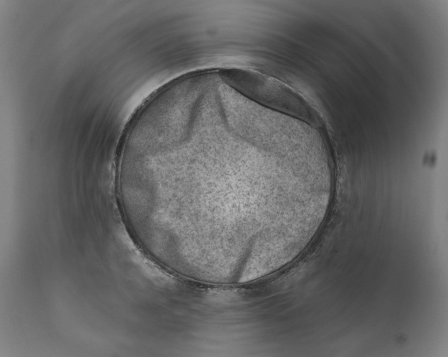 X0000111010944200907101312