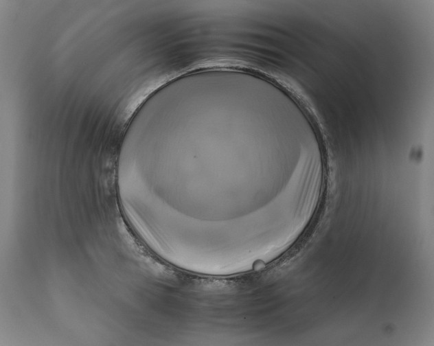 X0000111010945200907101312