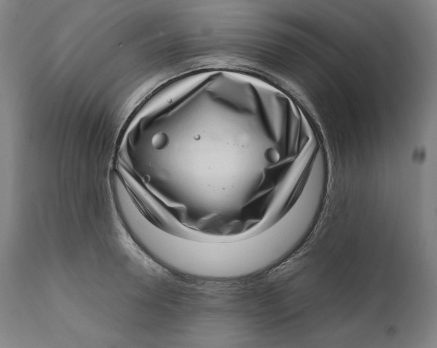 X0000111010946200907101312