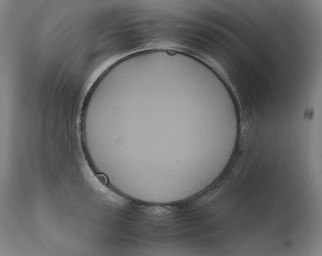 X0000111010947200907101312