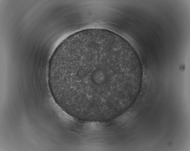 X0000111010950200907101312