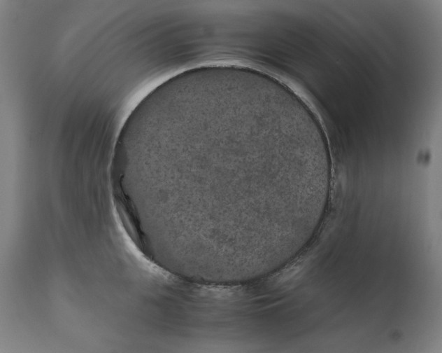 X0000111010951200907101312