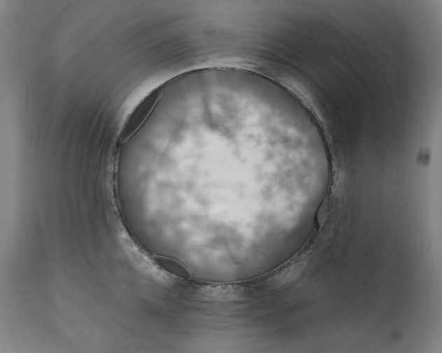 X0000111010952200907101312