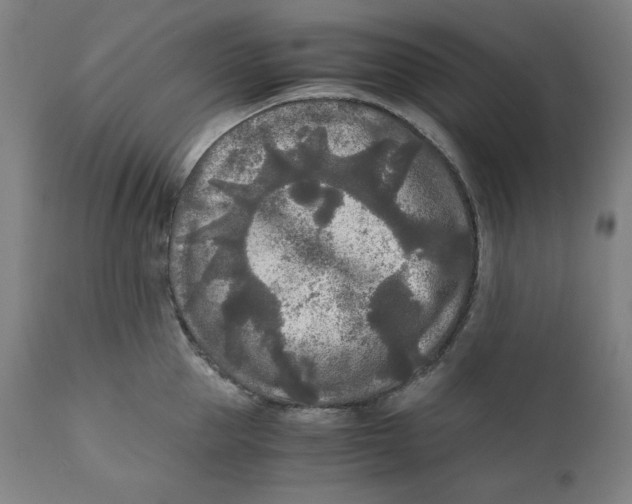 X0000111010953200907101312